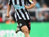 The six players set to leave Newcastle United this summer - and seven that could join them - photo gallery