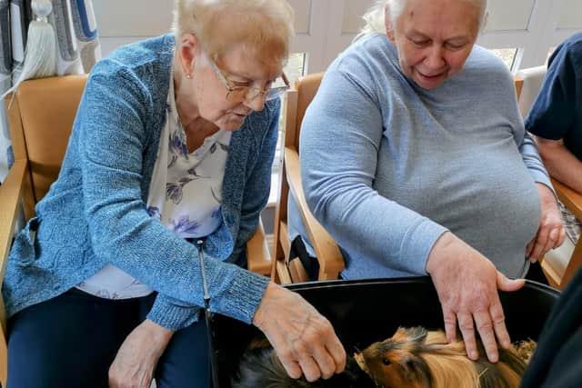 Willowdene Care Home residents Pat Rushin, 88, and Mauren Brown, 70, meet Coco and Pop. 