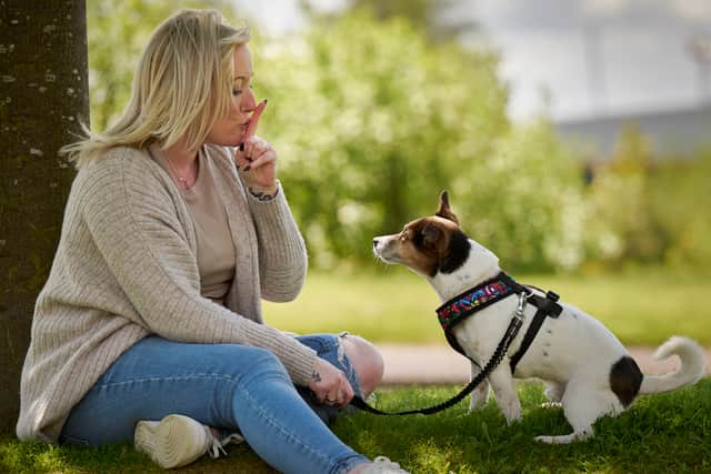 Top 10 scariest and friendliest dog breeds revealed