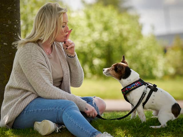 Top 10 scariest and friendliest dog breeds revealed 