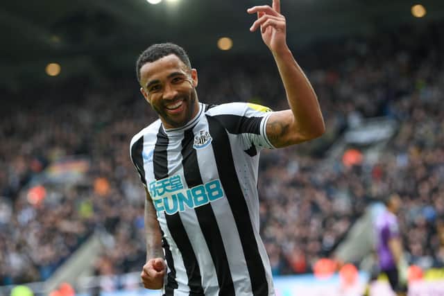 Callum Wilson celebrates scoring for Newcastle United last season.