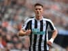Newcastle United's Sven Botman reveals what's 'really cool' about the club