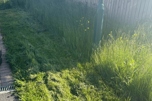 Residents have been doing some of the work themselves.