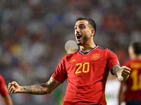 Former Newcastle United striker Joselu celebrates his winner.