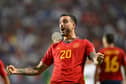 Former Newcastle United striker Joselu celebrates his winner.
