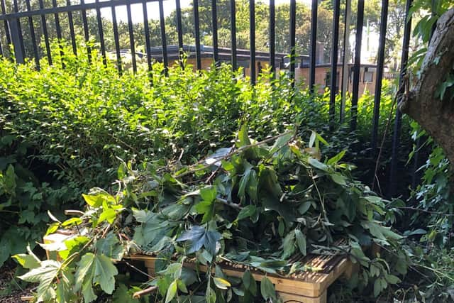 Insect hotel built by Mortimer Primary School pupils before it was set on fire 