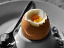 More than a quarter of UK adults have never boiled an egg and do not know how to.