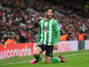 Former Newcastle United forward Ayoze Perez has found a new club after being released by Leicester City. (Photo by Shaun Botterill/Getty Images)