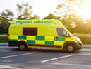 A four-year-old boy was rushed to hospital after a dog attack in an estate playground