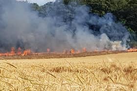 Fire crews were called to a field in East Boldon on Monday evening (July 17). Photo: Ian Elder.