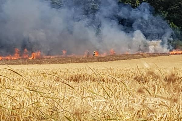 Fire crews were called to a field in East Boldon on Monday evening (July 17). Photo: Ian Elder.