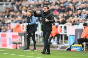 Fulham boss Marco Silva.