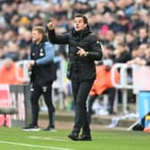 Fulham boss Marco Silva.