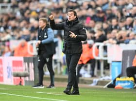 Fulham boss Marco Silva.