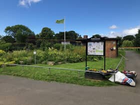 Green Flag in Readhead Park