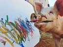 Pigcasso has made over £1 million for her painting masterpieces (Credit: Pigcasso - Joanne Lefson)