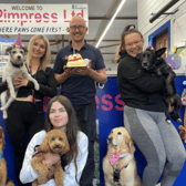Pets2impress is celebrating 15 years of business. Photo: Other 3rd Party.