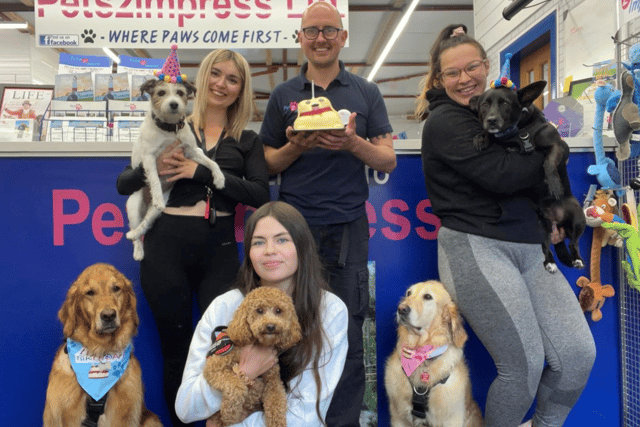 Pets2impress is celebrating 15 years of business. Photo: Other 3rd Party.