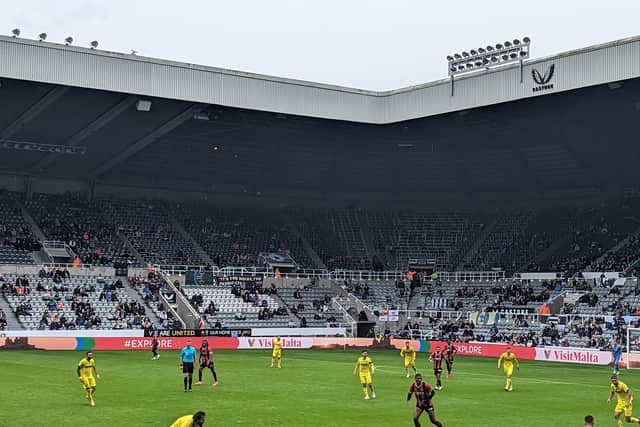 Safe Standing in the Strawberry Corner section of St James’ Park. 