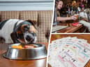 The Bellflower in Preston, Lancashire, won the accolade of the official best pub for dogs in the UK