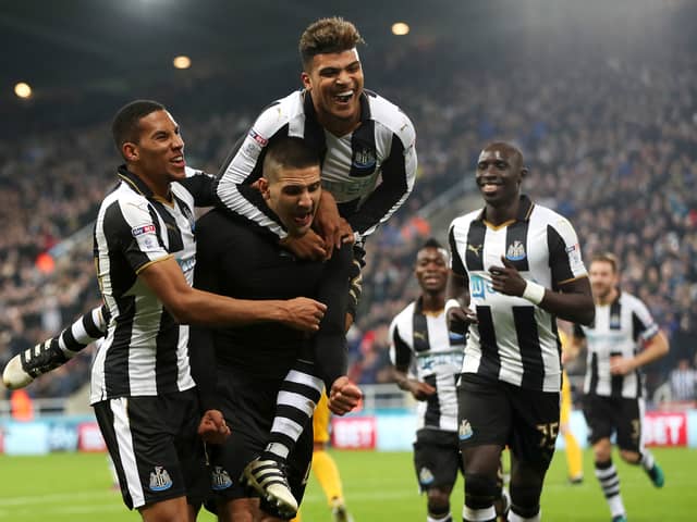 Aleksandar Mitrovic at Newcastle United (Image: Getty Images)