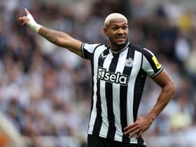 Joelinton is an injury concern for Newcastle United following his withdrawal at Manchester City (photo: Getty Images).  