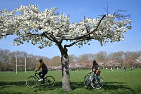 Cyclists in the park,