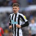 Turner-Cooke has returned to Newcastle United.