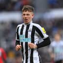 Turner-Cooke has returned to Newcastle United.