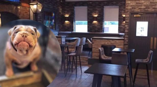 The Trimmers Arms has reopned a community pub.