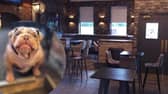 The Trimmers Arms has reopned a community pub.
