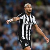 Joelinton. Photo: Getty Images.