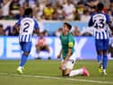 Ben Parkinson of Newcastle United reacts after a chan during the Premier League Summer Series match between Brighton & Hove Albion and Newcastle United at Red Bull Arena on July 28, 2023 in Harrison, New Jersey. (Photo by Tim Nwachukwu/Getty Images for Premier League)