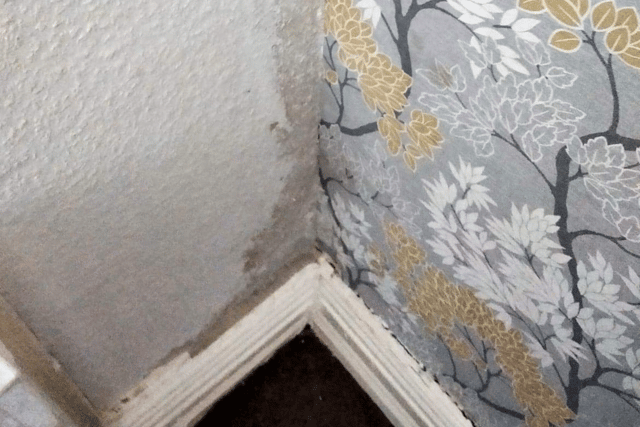 Jean’s room at Seahaven Care Home had no heating and water leaking in.