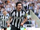 Sandro Tonali has become a firm favourite of Newcastle fans and local landlords already.