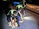 Cops received a call from a member of the public that a 12 foot yellow python was slithering on Harwood Street, West Bromwich.  