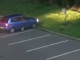 Ellis Anthony Gibbs dropping litter out of his car window in a car park in Hull. The teenager was fined £250.