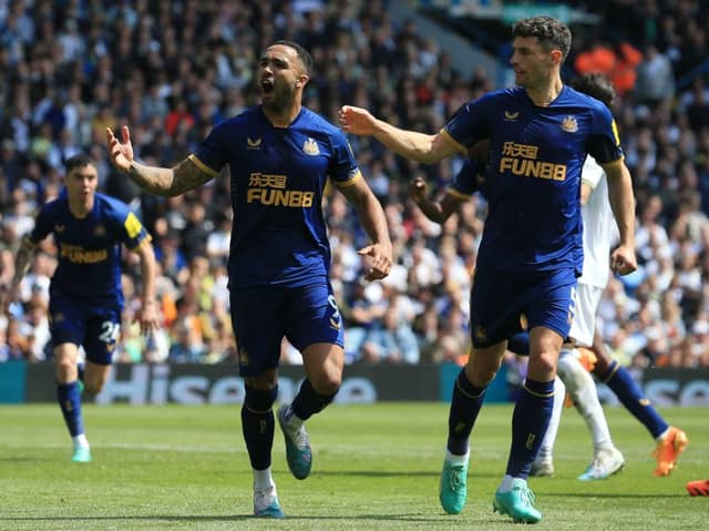 Callum Wilson and Fabian Schar