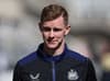 Newcastle United receive major fitness boost as forgotten man takes part in first-team training