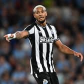 Joelinton is out for Newcastle United (Getty Images)