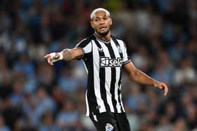 Joelinton is out for Newcastle United (Getty Images)