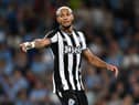 Joelinton is out for Newcastle United (Getty Images)