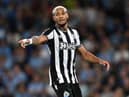 Joelinton is out for Newcastle United (Getty Images)