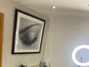 T Brow and Beauty Studio