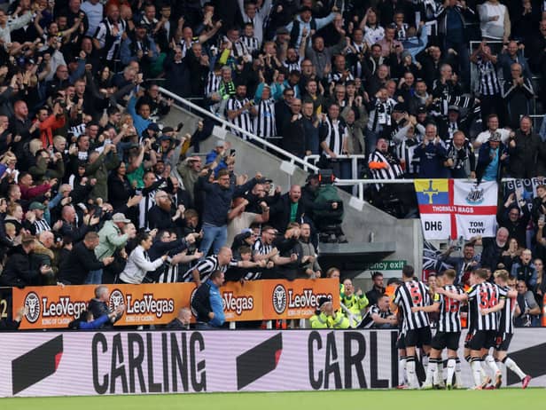 Newcastle United celebrate scoring Callum Wilson’s goal in the 1-0 win over Brentford on Saturday  (Photo by George Wood/Getty Images)
