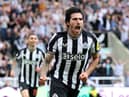 Newcastle United midfielder Sandro Tonali. (Photo by George Wood/Getty Images)