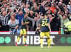 Callum Wilson’s shock reaction as ‘unbelievable’ Newcastle United run riot against Sheffield United