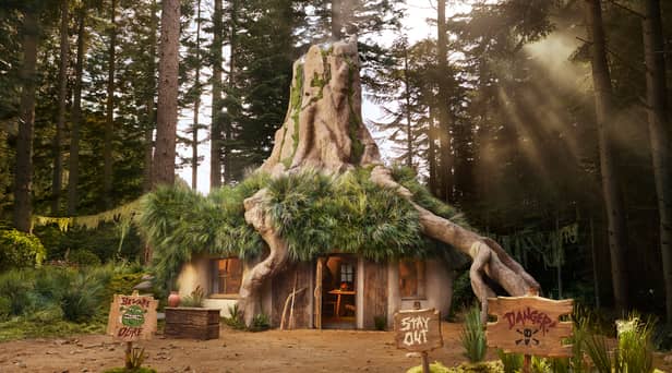 Shrek’s Swamp AirBnB: Rare opportunity for ogre enthusiasts to rent DreamWorks shack this Halloween