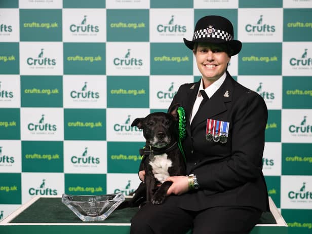 PC Claire Todd with Stella, a Staffordshire Bull Terrier who won Hero Dog of the Year today (Sunday 12.03.23), the last day of Crufts 2023, at the NEC Birmingham. (BeatMedia)