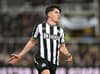 Newcastle United’s new £40m hero hails ‘amazing’ support following Manchester City win
